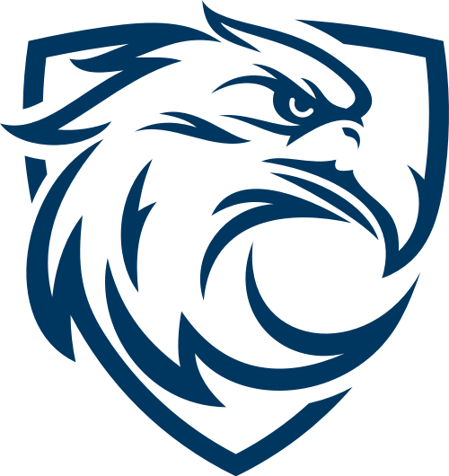 藍(lán)鷹去廣 v1.0 xposed模塊