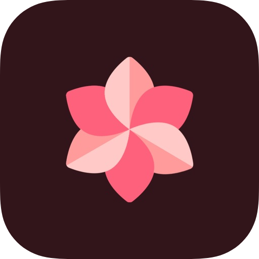 WallSpot(壁紙軟件) v1.6 解鎖Pro