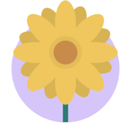 blossom-1.17.0-setup 安裝版