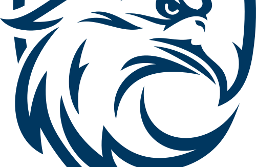 藍(lán)鷹去廣 v1.0 xposed模塊