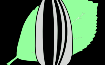 瓜籽影視 v1.0.0 去廣告