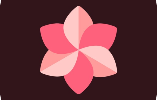 WallSpot(壁紙軟件) v1.6 解鎖Pro