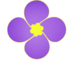 紫金草視頻 v4.7.0 去廣告