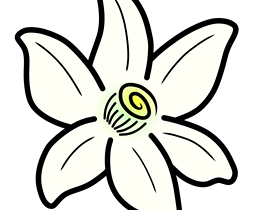 Azahar Emulator(3DS模擬器) v2123.2 綠色版