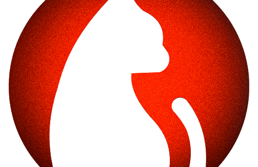 追劇貓 v4.2.2 去廣告