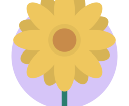 blossom-1.17.0-setup 安裝版